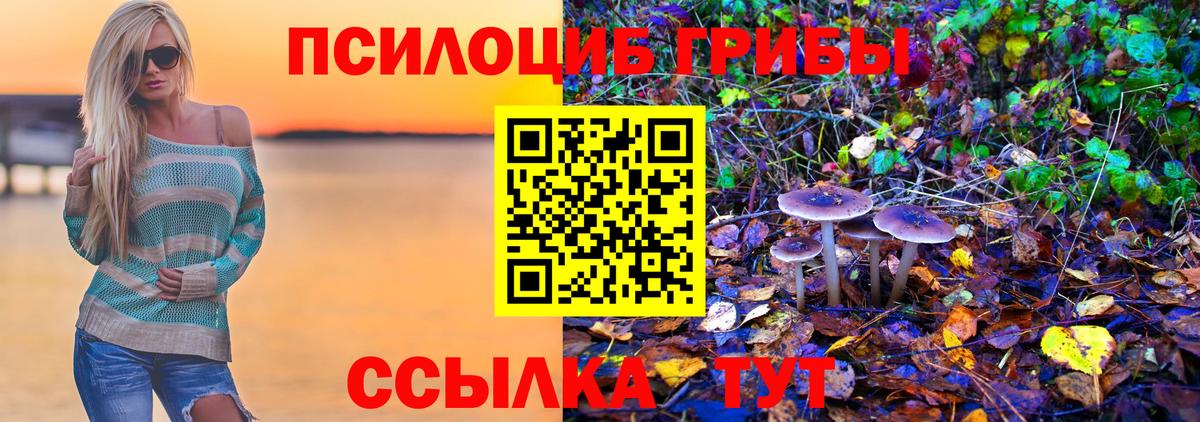 Галлюциногенные грибы Cubensis  Псилоцибиновые грибы Psilocybe  цена   Вход с VPN  Осинники 