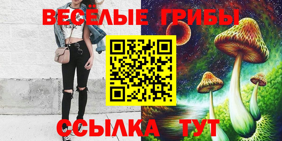 Псилоцибиновые грибы Cubensis Осинники